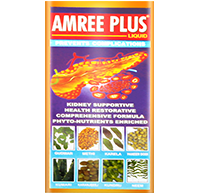 amree-plus-png-1