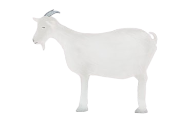 pngtree-a-white-goat-illustration-image_1216792-removebg-preview